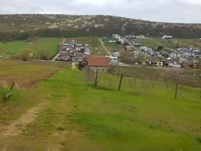 Teren intravilan vanzare-cumparare Budiu Mic Mures verdeata
